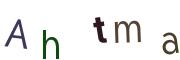 圖片的 CAPTCHA
