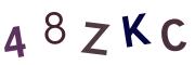 圖片的 CAPTCHA