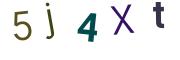 圖片的 CAPTCHA