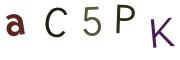 圖片的 CAPTCHA
