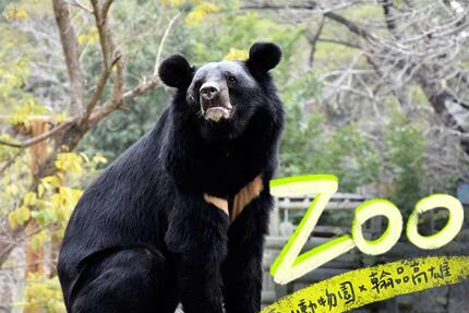 翰品酒店(高雄) - 壽山動物園×翰品高雄 認養動物免費入園