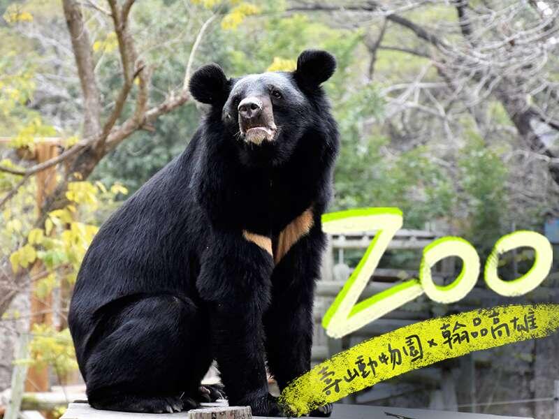 翰品酒店(高雄) - 壽山動物園×翰品高雄 認養動物免費入園