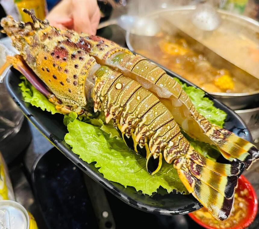 皇家帝國麻辣火鍋 - 9月壽星優惠活動,2人同行1位當月壽星送中龍蝦1尾