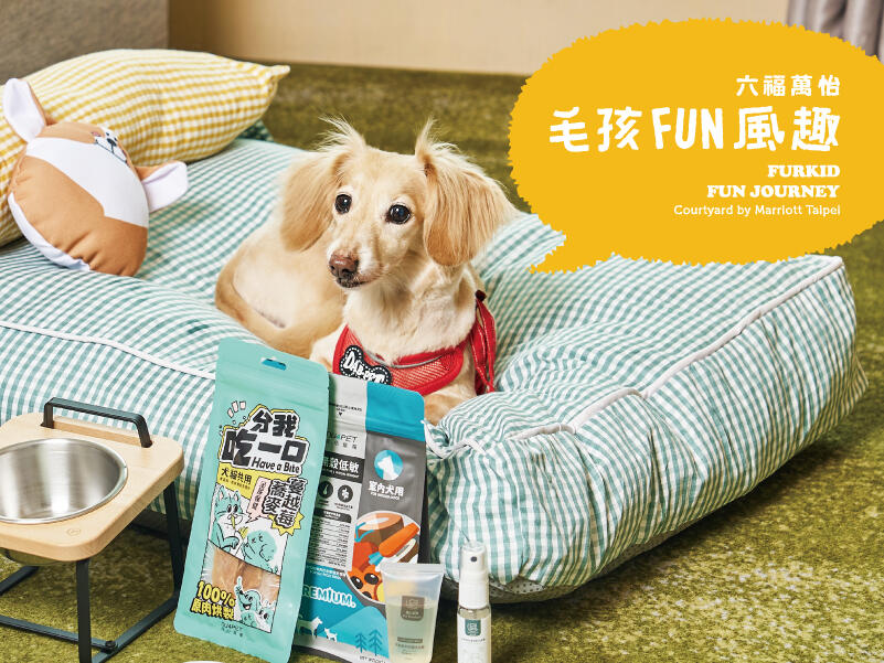 台北六福萬怡酒店 - 毛孩FUN風趣 『汪汪房』住房專案