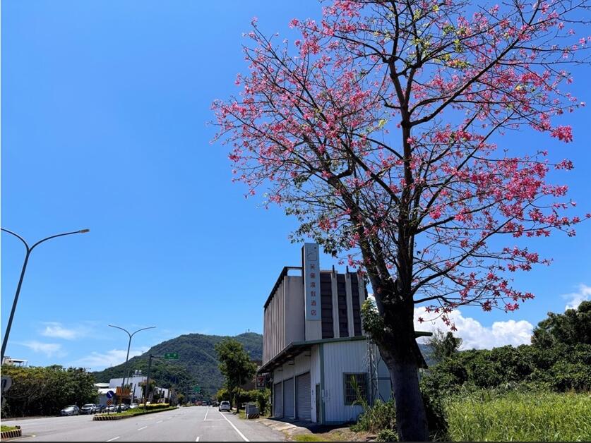 知本芙儷渡假酒店 - 2025搶先專案